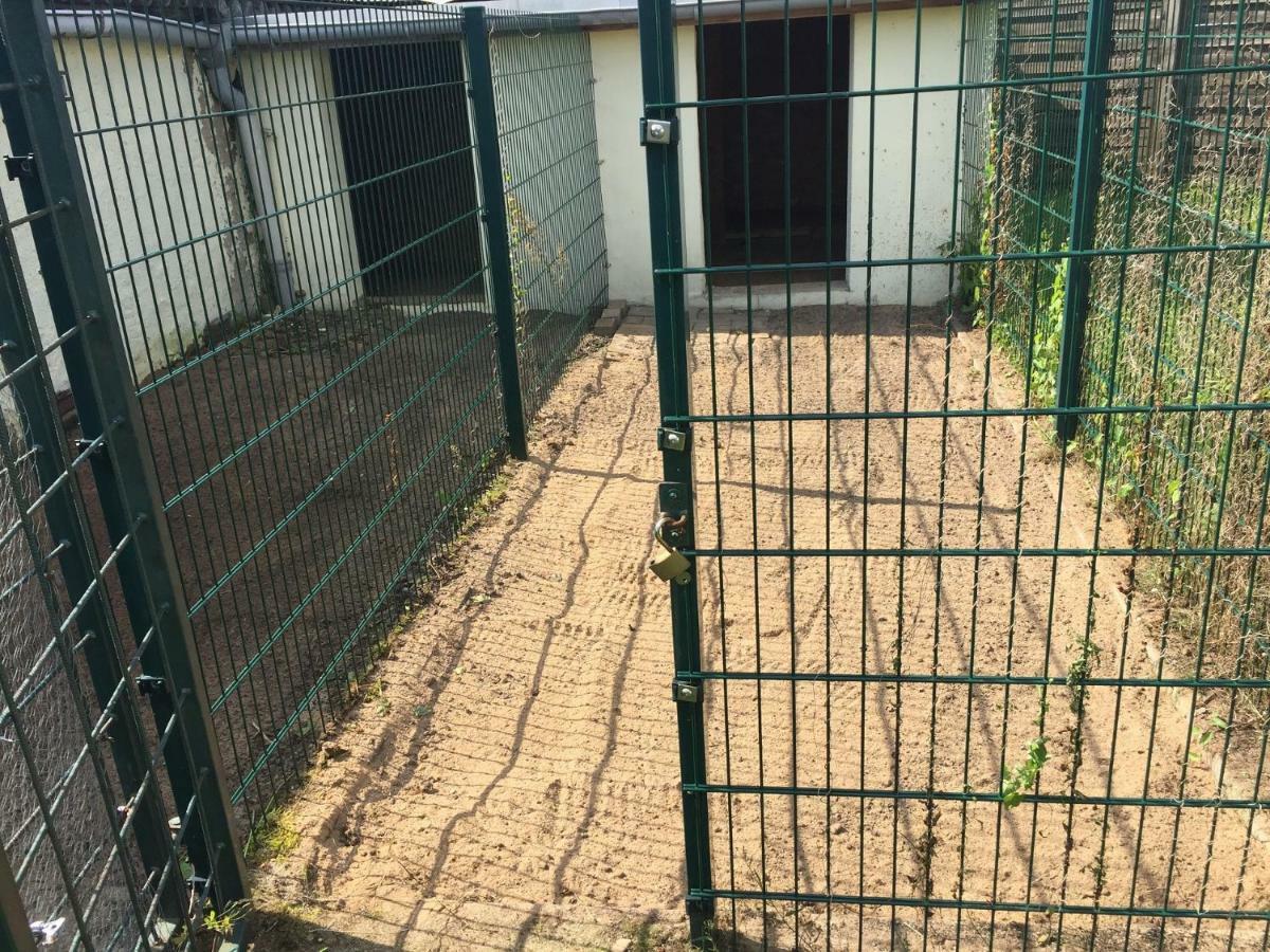 Ferienwohnung Neustrelitz Exteriér fotografie